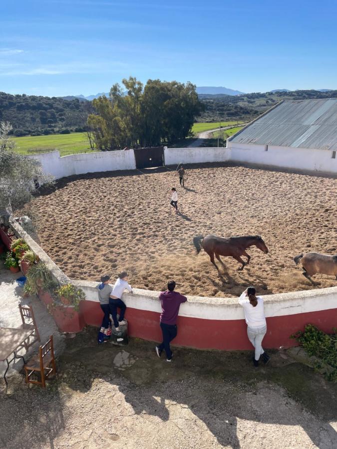 Casa Rural Finca De Las Encarnaciones Bajas Villanueva de San Juan Esterno foto